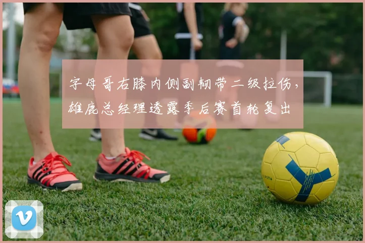 字母哥右膝内侧副韧带二级拉伤，雄鹿总经理透露季后赛首轮复出